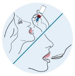 Profilo di un volto con due illustrazioni separate da una linea blu che mostrano l