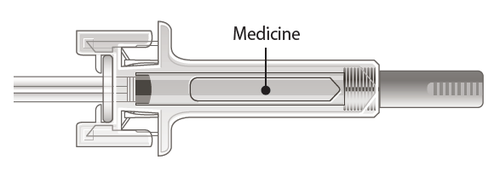 Siringa schematica con stantuffo, cilindro trasparente e ago metallico per iniezione endovenosa o intramuscolare