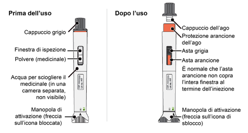 Siringa pre-riempita con stantuffo grigio e arancione, indicazioni su cappuccio, finestra di ispezione, polvere medicinale e manopola di attivazione