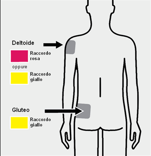 Schema del corpo umano con indicazioni per l