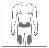 Schema del corpo umano con aree ombreggiate che indicano le regioni addominale e le cosce per l