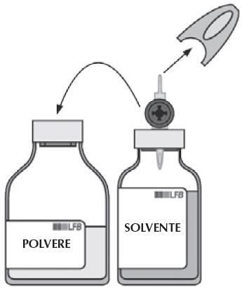 Fiala di polvere e fiala di solvente con freccia che indica il trasferimento del liquido da una all