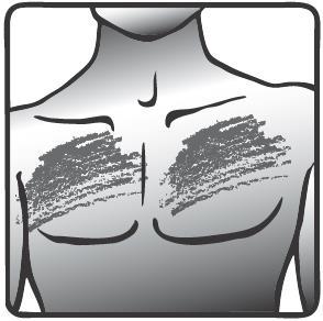 Schiena umana stilizzata con indicazione delle aree per l