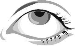 Occhio umano stilizzato con pupilla scura e ciglia lunghe e folte palpebra superiore e inferiore visibili