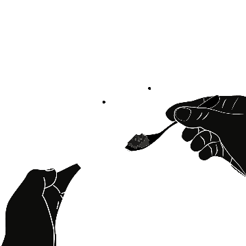 Mano che tiene un cucchiaino con polvere scura mentre un