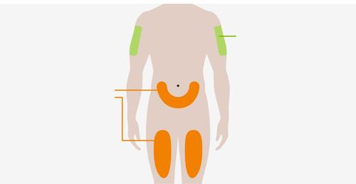 Schema del corpo umano con aree evidenziate per l