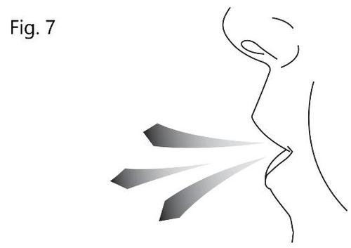 Profilo del viso con flusso d