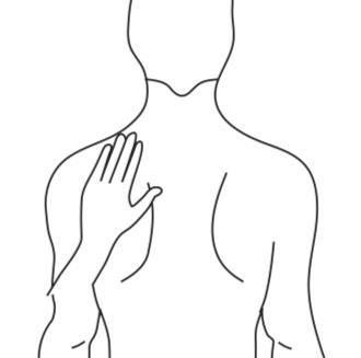 Schema lineare di torso e braccio umano con mano posizionata sulla spalla e parte superiore del braccio