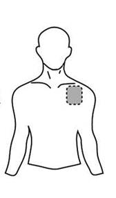 Schema del torace e della spalla umana con un