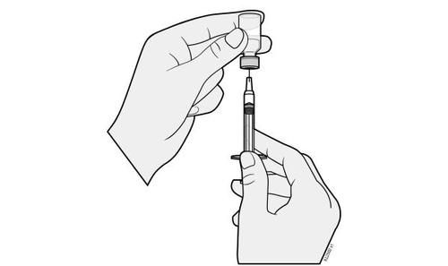 Mani che preparano un