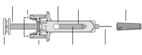 Siringa schematica con stantuffo, ago, protezione e componenti interni evidenziati da linee e asterischi