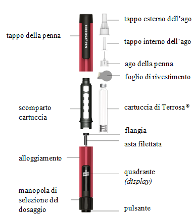 Penna Terrosa&reg; smontata con tappo esterno, tappo interno, ago, foglio di rivestimento, cartuccia, flangia, asta filettata e pulsante