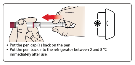 Mano che rimette il cappuccio sulla penna da insulina, freccia rossa indica la direzione, simbolo fiocco di neve e temperatura 2-8&deg;C