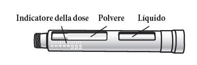 Penna iniettabile precompilata con indicatore di dose graduato polvere e sezione liquida