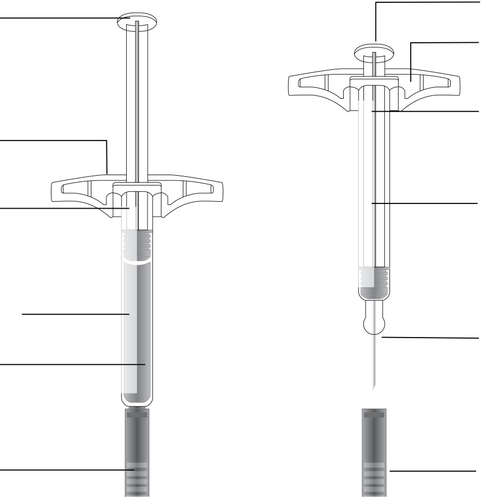 Siringa schematica con stantuffo, corpo cilindrico trasparente, ago affilato e cappuccio protettivo nero