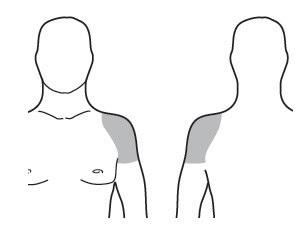 Due figure umane stilizzate con area ombreggiata che indica il sito di iniezione intramuscolare nella parte superiore del braccio