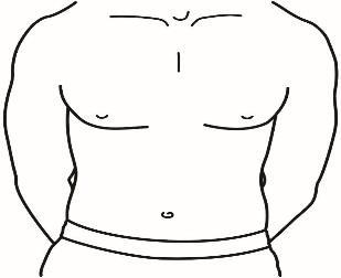 Schema del torso umano stilizzato con indicazione della zona addominale inferiore contrassegnata dalla lettera G