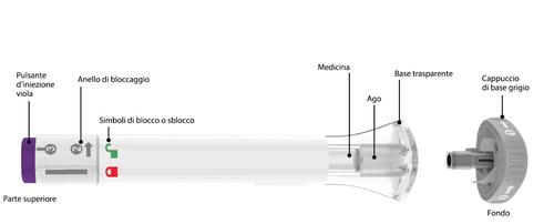 Penna iniettabile con componenti etichettati: pulsante viola, anello di bloccaggio, ago, base trasparente e cappuccio grigio