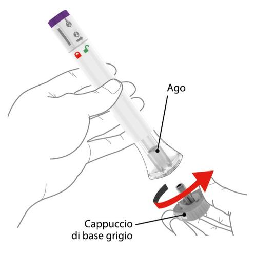 Mano che tiene un dispositivo autoiniettante con ago trasparente e freccia rossa che indica la rotazione del cappuccio grigio di base
