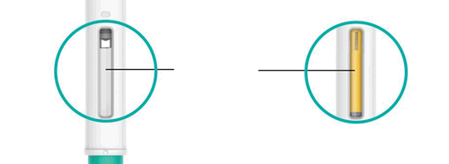 Penna iniettabile con due sezioni evidenziate da cerchi: una con il pistone grigio e l