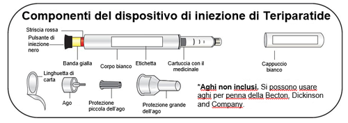 Componenti del dispositivo di iniezione: ago, protezione piccola, protezione grande, cartuccia medicinale, corpo bianco e cappuccio