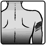 Schiena umana stilizzata con ombreggiatura, linea verticale tratteggiata centrale e due linee curve laterali che indicano i muscoli dorsali