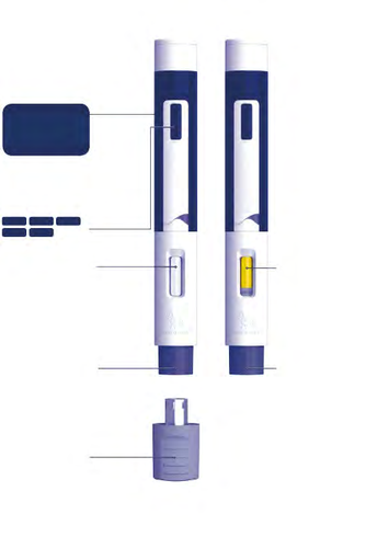 Due penne per insulina con parti evidenziate da linee e frecce, e tappo protettivo separato