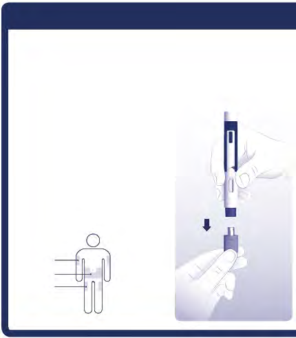 Mano che tiene un dispositivo per iniezione con ago e cappuccio protettivo rimosso freccia indica il punto di iniezione su figura schematica