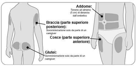 Schema del corpo umano con indicazioni per l