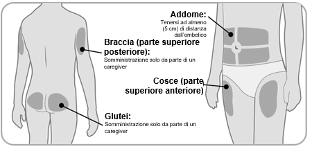 Schema del corpo umano con aree evidenziate per l