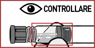 Siringa evidenziata da un riquadro rosso con dettaglio dell