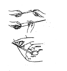 Mano che afferra una siringa con ago inserito nella pelle, dettaglio del sito di iniezione con vasi sanguigni e indicazione di strati cutanei