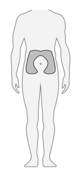 Schema del corpo umano frontale con area addominale inferiore ombreggiata a forma di ferro di cavallo