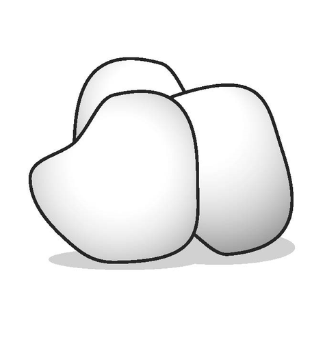 Rappresentazione schematica di un ovulo fecondato con forma irregolare e contorno nero su sfondo bianco