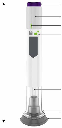 Penna iniettabile bianca e viola con indicatore verde, meccanismo di sicurezza e componenti etichettati da frecce