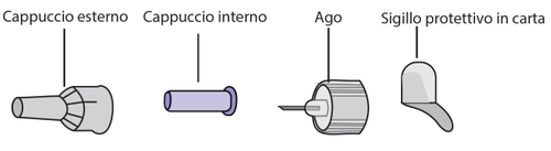 Componenti di una siringa preriempita: cappuccio esterno, interno, ago con protezione e sigillo protettivo in carta trasparente