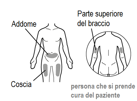 Schema del corpo umano con indicazioni di addome, coscia e parte superiore del braccio con frecce e cerchi concentrici