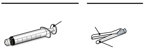 Siringa trasparente con ago e due aghi smussati separati mostrati in dettaglio con linee che indicano la punta