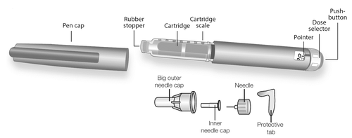 Penna per insulina smontata con componenti etichettati: tappo, cartuccia, selettore dose, ago e cappucci protettivi