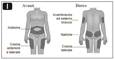 Schema corporeo con indicazioni delle zone di iniezione: addome, coscia anteriore e laterale, natica e avambraccio esterno