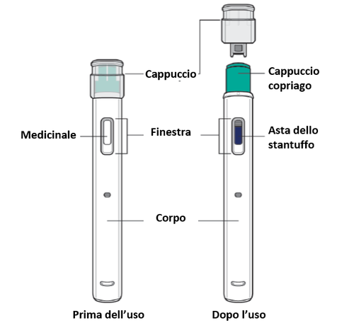 Due penne pre-riempite con medicinale, una prima e una dopo l