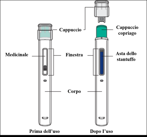 Due autoiniettori con indicazioni testuali, uno prima e uno dopo l