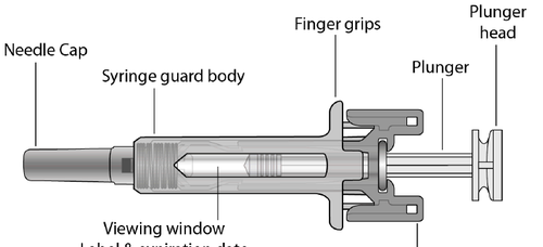 Siringa schematica con cappuccio ago, corpo protettivo, finestra di visualizzazione, stantuffo e testa del pistone