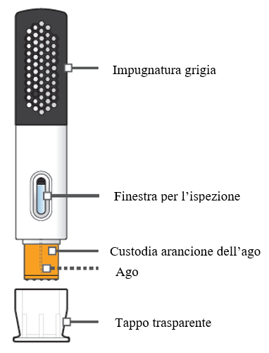 Penna iniettabile con impugnatura grigia, finestra trasparente, custodia arancione dell
