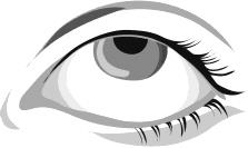 Occhio umano stilizzato visto di lato con pupilla grigia e ciglia nere folte e definite