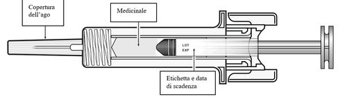 Siringa schematica con ago protetto da copertura, indicazioni frecce su corpo cilindrico, pistone e etichetta con data di scadenza visibile