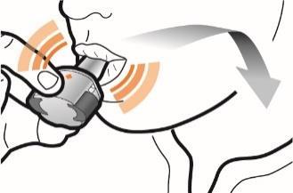 Dispositivo autoiniettante premuto sulla pelle con freccia grigia che indica la direzione di iniezione e zone arancioni evidenziate