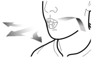 Profilo del viso con frecce grigie che indicano la direzione del massaggio e muscoli del collo evidenziati