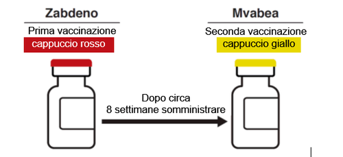 Due fiale medicinali, una con tappo rosso per la prima vaccinazione e una con tappo giallo per la seconda, collegate da una freccia e testo