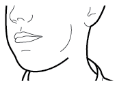 Profilo stilizzato del viso con linea che indica la posizione dell